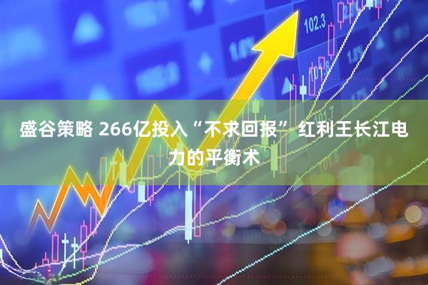 盛谷策略 266亿投入“不求回报” 红利王长江电力的平衡术