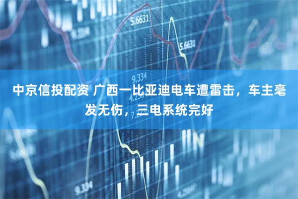 中京信投配资 广西一比亚迪电车遭雷击，车主毫发无伤，三电系统完好