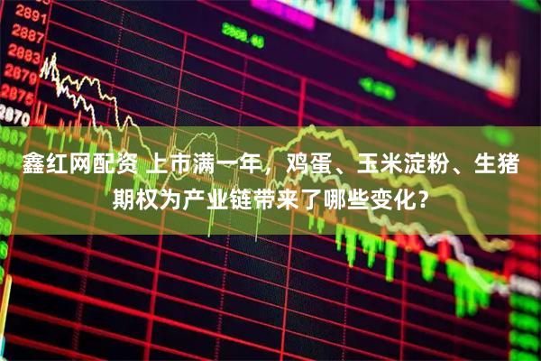 鑫红网配资 上市满一年，鸡蛋、玉米淀粉、生猪期权为产业链带来了哪些变化？