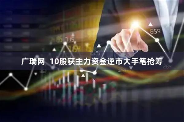 广瑞网  10股获主力资金逆市大手笔抢筹